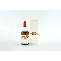 Essenza al Bergamotto 20ml